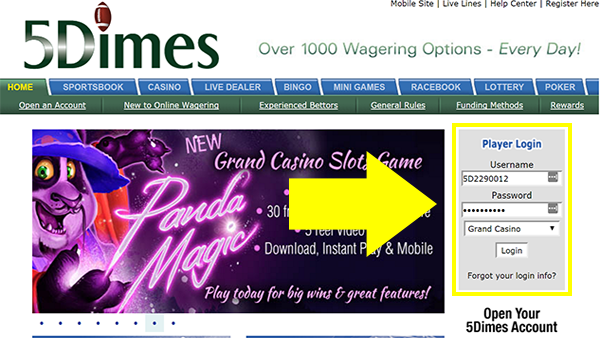 5Dimes Casino Download Step 2
