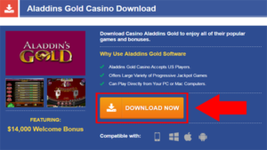 Aladdin's Gold Casino Download Step 1