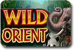 Wild Orient slots