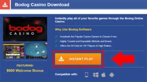 Bodog Casino Instant Play Step 1