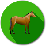 Horseracing icon