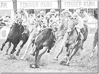 Nebraska casinos and racetracks history