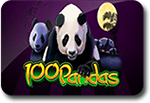 100 Pandas slots