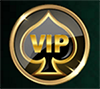 Online Casino VIP USA Image