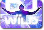 DJ Wild slots