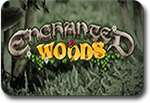 Enchanted Woods Image