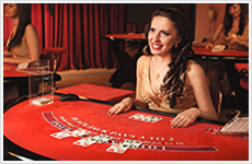 Live Dealer VIP Blackjack table layout