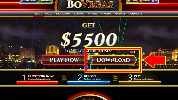 Download BoVegas Casino software