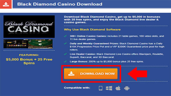 Go to Black Diamond website
