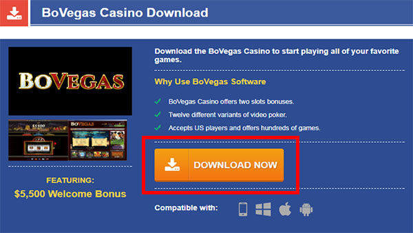 Go to BoVegas Casino website