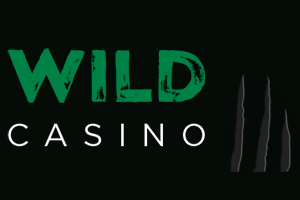 Villi kasino -logo