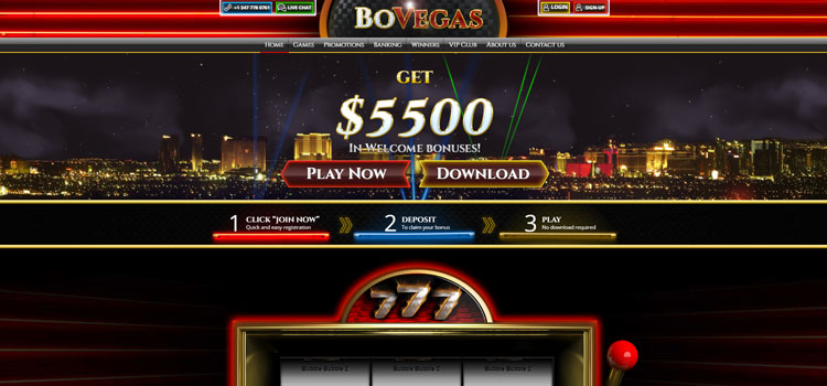 BoVegas Casino Casino Instant Download