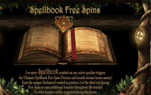 Enchanted Free Spin Book