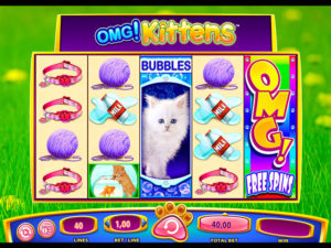 omg kittens slot game