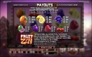 Fruit Zen Slots Payout Table