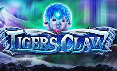 Tiger's Claw Logo