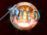 Magic Shoppe Online Slot Wild Symbol