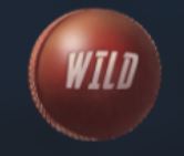 Cricket Legends Online Slot Wild Symbol