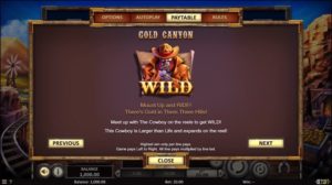 Gold Canyon Slots Wild