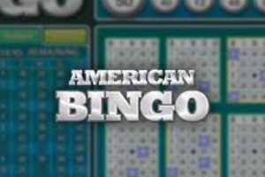 Online American Bingo Game