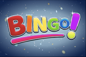 bingo 30 ball game logo