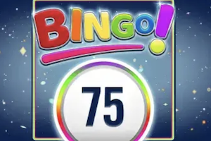 bingo 75 game logo