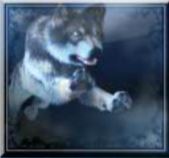 Mystic Wolf Online Slot Wild Symbol