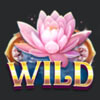 Pixie Magic Real Money Online Slot Game Wild Lotus Symbol