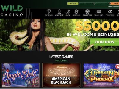 Wild Casino Home Page