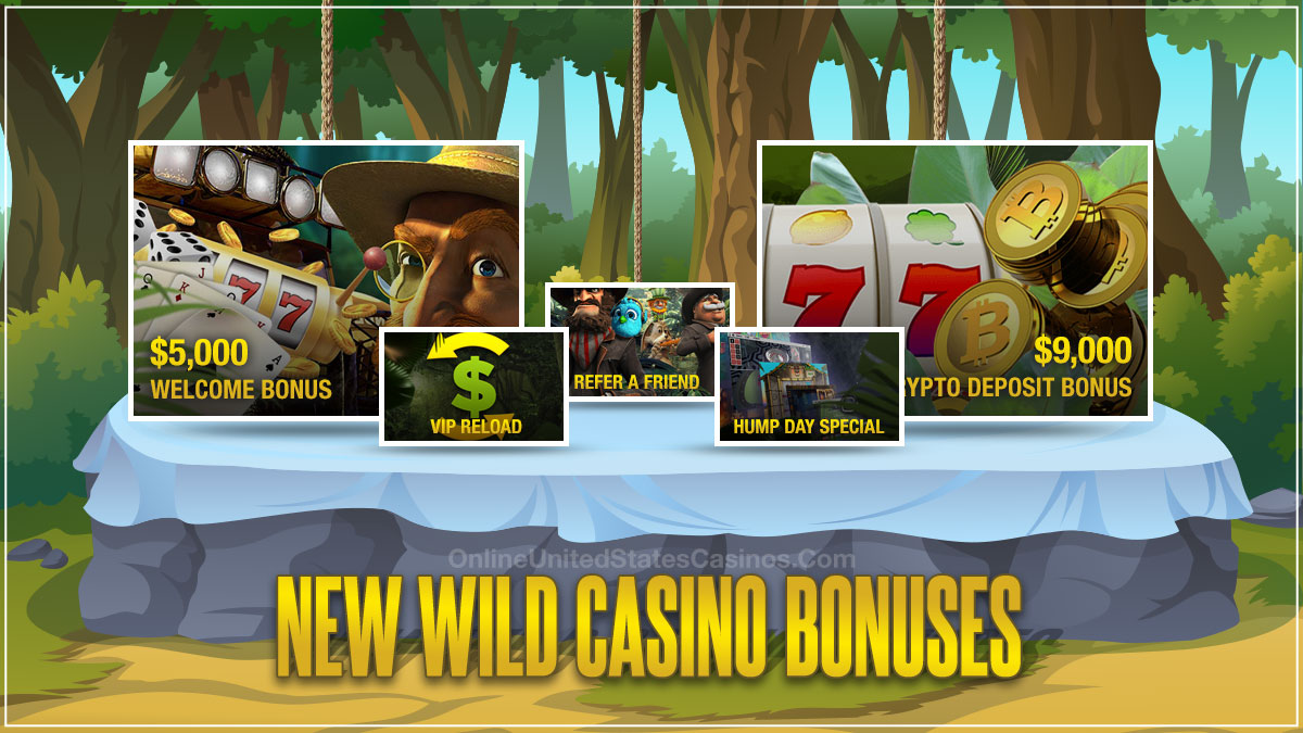 New Wild Casino Bonuses