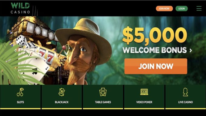 New Wild Casino Home Page