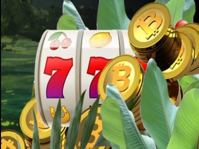 Wild Casino New Crypto Bonus