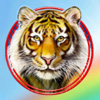 Cai Hong Online Slot Tiger Symbol