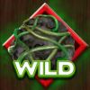 Back to Venus Online Slot Wild Symbol