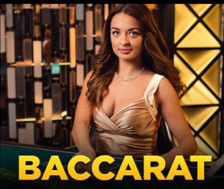 Wild Casino Live Dealer Baccarat