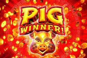Pig Winner Online Slot Logo