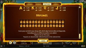 The Hive Online Slot Paylines
