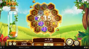 The Hive Online Slot Wild Win