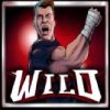 Webby Heroes Online Slot Wild