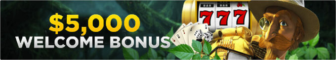 Wild Casino $5,000 Welcome Bonus Banner for echeck deposits