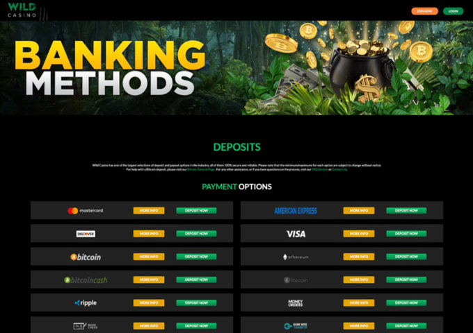 Wild Casino Website Screenshot Banking Methods
