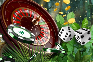 Low Deposit Wild Casino Feature Image