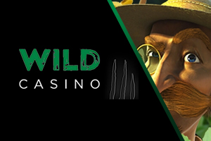 Best Online Casino - wild casino image logo