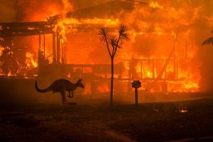 Australia Bushfire Crisis 2020