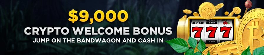 Wild Casino Crypto Welcome Bonus