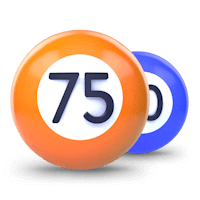 75 Ball Bingo Number Icon