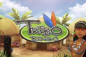 Tribo Bingo Logo