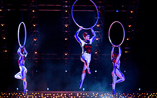Las Vegas Cirque du Soleil Show in Las Vegas