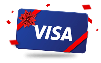Visa Giftcard Icon