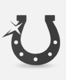 BetNow Horse Rebate Logo